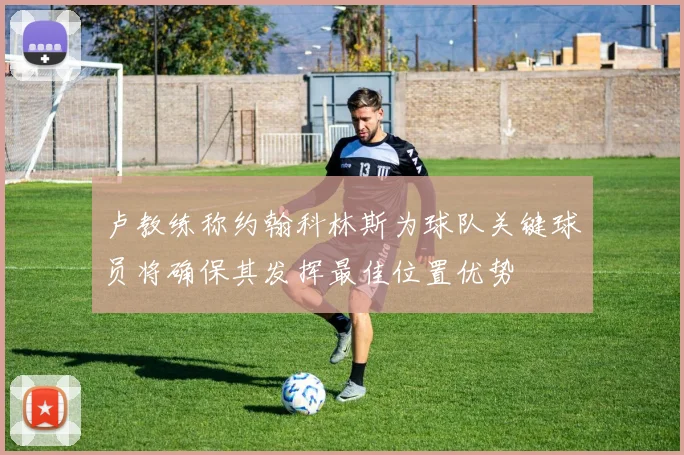 卢教练称约翰科林斯为球队关键球员将确保其发挥最佳位置优势