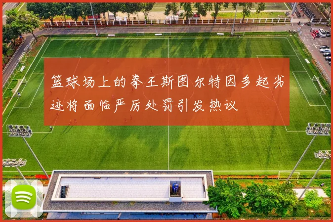 篮球场上的拳王斯图尔特因多起劣迹将面临严厉处罚引发热议