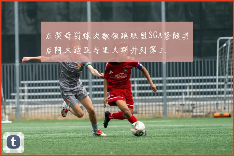 东契奇罚球次数领跑联盟SGA紧随其后阿夫迪亚与里夫斯并列第三
