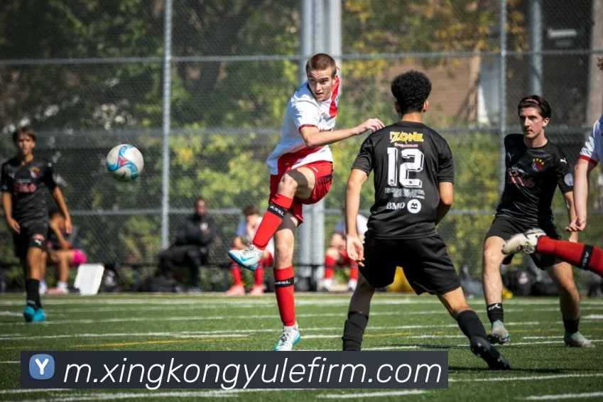 多媒体互动体验